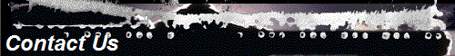 Contact Us